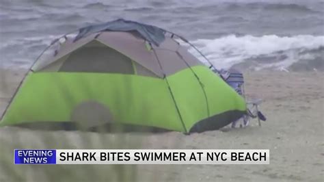 Woman seriously injured after probable shark attack in New York City, officials say
