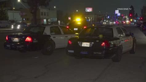 Woman shot, killed by neighbor in South Los Angeles: LAPD