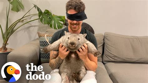 🍌 Wombatdaddy Leaks +18
