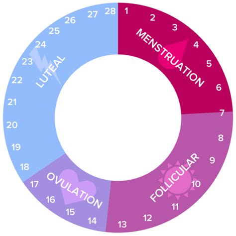 Women's Cycles Chart