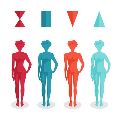 Women Body Types : 10 Shapes & How To Identify Which You Are