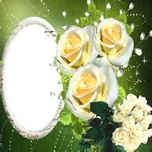Women Day Frame APK Download for Android 