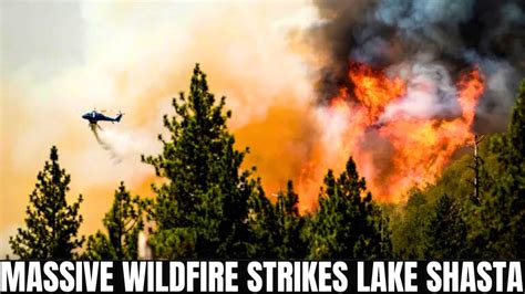 Wonder Fire consumes 80 acres near Shasta Lake