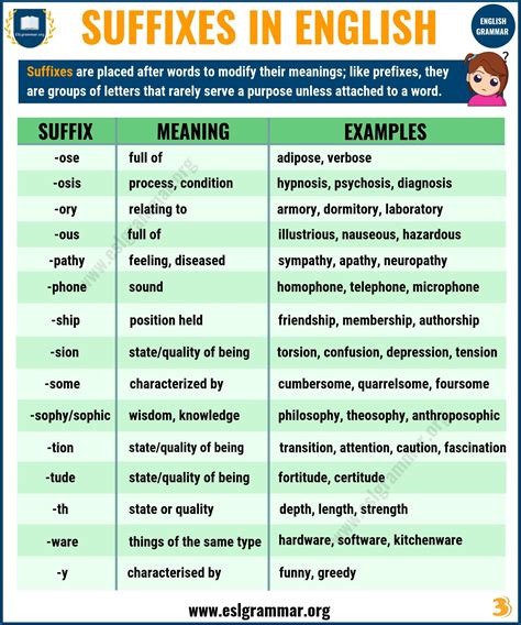 Wonder of power suffix. Suffix definition: an affix that follows the element to which it is added, as -ly in kindly.. See examples of SUFFIX used in a sentence. 