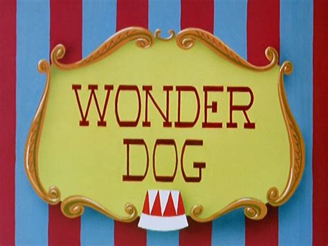 Wonder puppy. Wonder Dog is a side-scrolling platform game featuring a dog with super jumping ability and powerful throwing stars. Wonder Dog has these abilities because he is not from Earth, but from Planet K-9. When Wonder Dog was a pup, K-9 scientists sent him to Earth to escape the impending invasion from the Pitbully Armada. Now, armed with the wonder ... 
