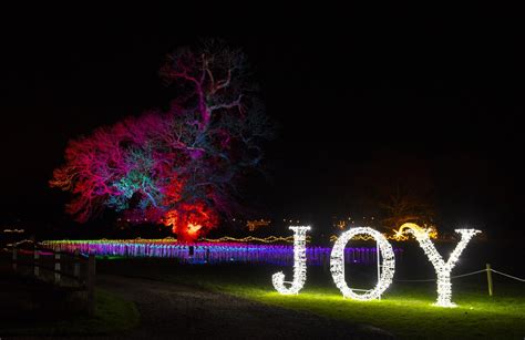 Wonderful Christmas Light Trail! - Sir Harold Hillier Gardens