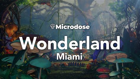Wonderland miami. Feb 25, 2022 · February 25, 2022 · 4 min read. Wonderland returns to Miami on November 3-5th November 2022. Wonderland Miami 2022 will take place at the Mana Wynwood Convention Center 318 NW 23rd St, Miami, FL ... 