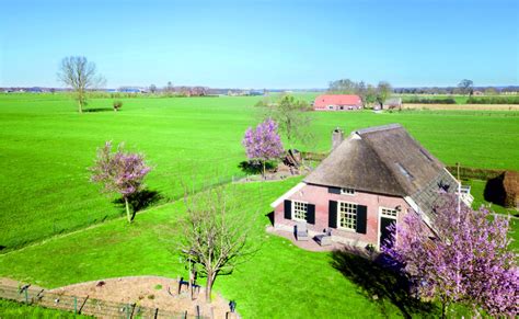 Wonen op het platteland