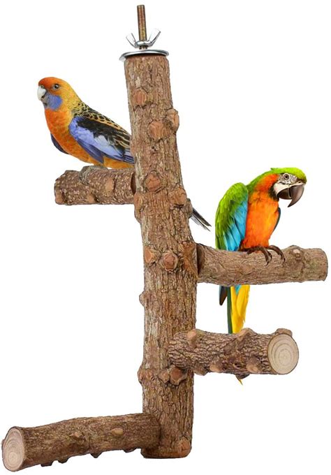 Wood Bird Perches & Toys (Free Shipping) Chewy