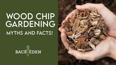 Wood Chip Mulch Myths - Garden Myths