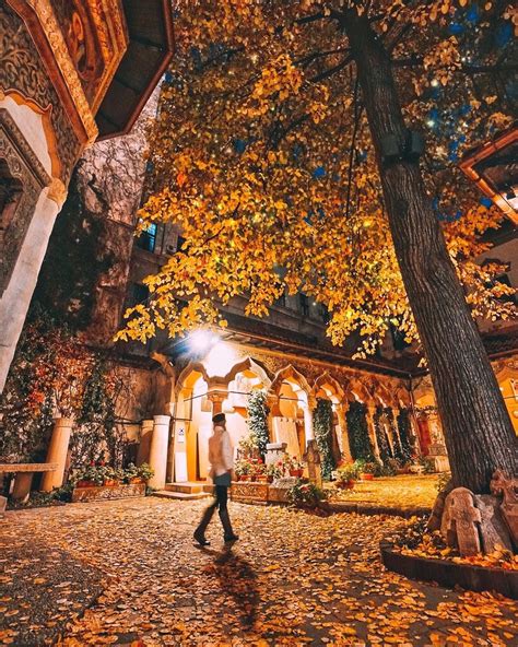 Wood Flores Instagram Bucharest