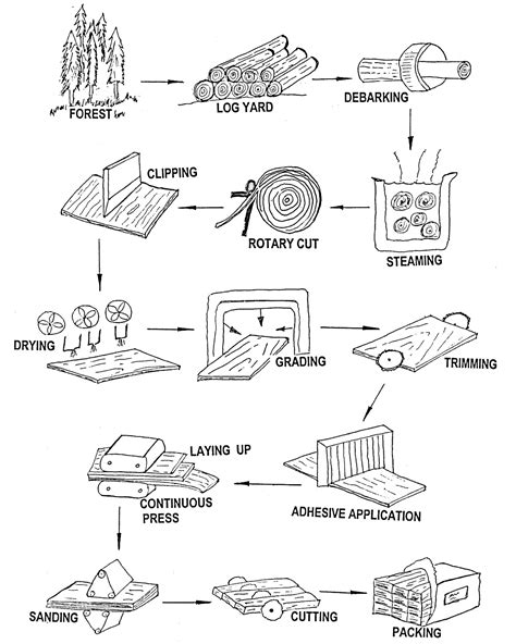 Wood Veneer Manufacturing Process Step by Step