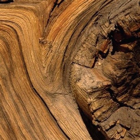 Wood Wood Instagram Liuzhou