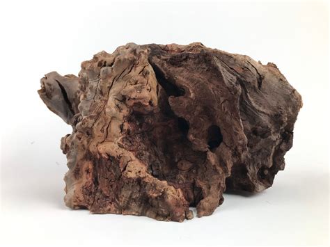 How to Harvest and Sell Burls I get a lot of responses to my website from people who have burls and want to sell them. Here's the advice I usually give them. First, do some careful measuring of the burl and be able to describe it well when you make contact with someone.. 