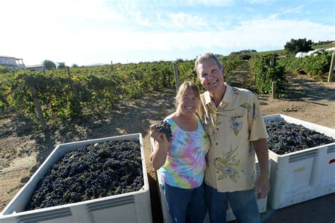 Wood family vineyards. Things To Know About Wood family vineyards. 