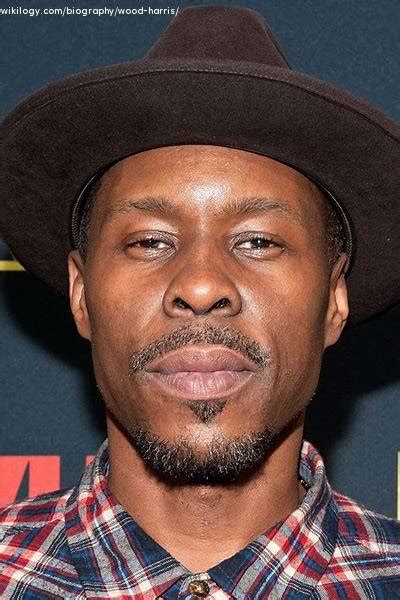 Net Worth: $2 million; Early Life And Education. Wood Harris was born on October 17, 1969, in the vibrant city of Chicago, located in the state of Illinois. …