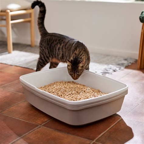 Wood pellet cat litter. Fact 1: Wood Pellet Cat Litter Absorbs Liquids Efficiently, Minimizing Smell. Wood pellets are champions at locking in moisture, which keeps the notorious smells at bay. Imagine the soft pitter-patter of paws across your floor, leading to a litter box where the wood pellets lie in wait. Composed of natural … 