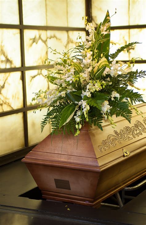 Are you looking to discover more about your ancestors and their lives? With the help of free obituary search in Minnesota, you can uncover a wealth of information about your family.... 