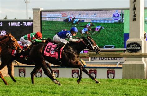 Oct 21, 2023 · Woodbine OPTIONAL CLAIMING $40,000. Purse $61,800. One And One Sixteenth Miles. (Inner turf) (Includes $8,700 – State Bred) (Includes $9,500 – Other Sources) (Plus $8,700 – Other Sources). For Fillies And Mares Three Years Old And Upward Which Have Never Won Two Races Or Ontario Sired Allowance Which Have Never Won Two Races. .