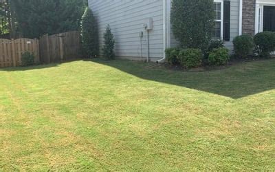 Woodbridge Lawn Care & Mowing Services - Lawn Love of …