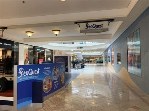 Woodbridge aquarium. Apr 23, 2019 · The aquarium is called SeaQuest and they promise a fall 2019 opening at Woodbridge Center, but did not specify a month yet. The company operates at least nine small aquariums across the country ... 