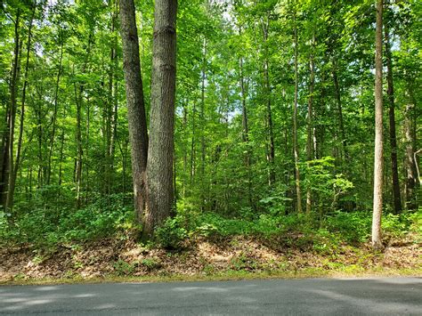 Wooded lots for sale near me. Price cut: $400,000 (Aug 14) 2650-2652 Baumgardner Rd, Westminster, MD 21158. BERKSHIRE HATHAWAY HOMESERVICES HOMESALE REALTY. $204,000. 2.75 acres lot. - Lot / Land for sale. 278 days on Zillow. PARCEL Mahla … 