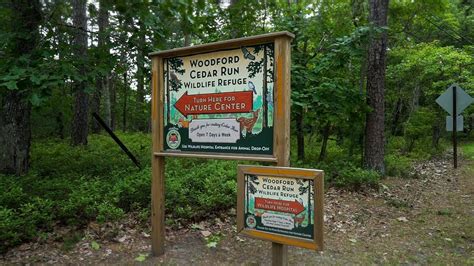 Woodford cedar run wildlife refuge. Woodford Cedar Run Wildlife Refuge 4 Sawmill Road Medford, NJ 08055 856-983-3329 Contact Us → ... 