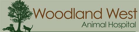 Woodland west animal hospital. Things To Know About Woodland west animal hospital. 