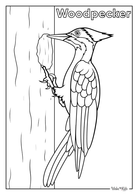 Fish Coloring Picture