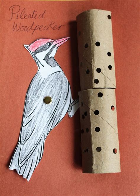 Woodpecker crafts. Things To Know About Woodpecker crafts. 