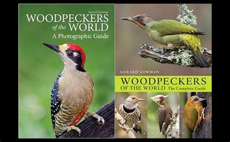 Woodpeckers of the world a photographic guide. - Walka o dobra kultury, warszawa 1939-1945.