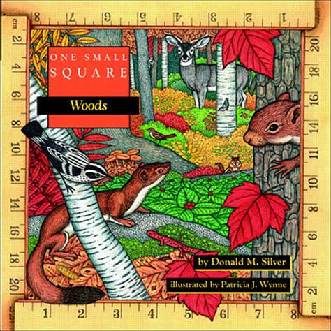 Read Online Woods One Small Square By Donald M Silver