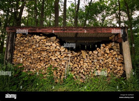Woodstack. Things To Know About Woodstack. 