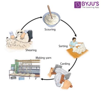 Wool Fibre - Definition, Properties, Extraction from Animals with …