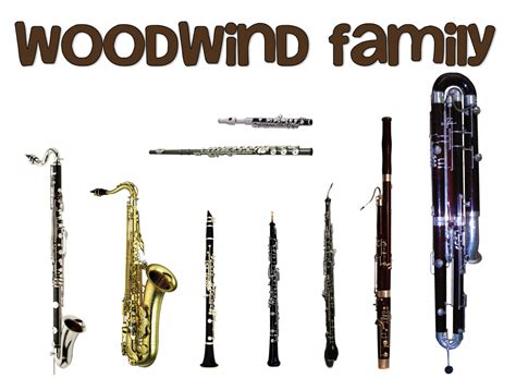 Woowind - As the name would suggest, the bass member of the woodwind family, and by far the largest, especially its lower-pitched relation, the extremely bulky double or contra-bassoon. Like the oboe, it is a double-reed instrument, although to facilitate the playing action (the instrument is normally held across and in front of the body) it is …