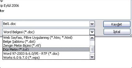 Word'den Excel'e Liste Transferi CHIP Online.