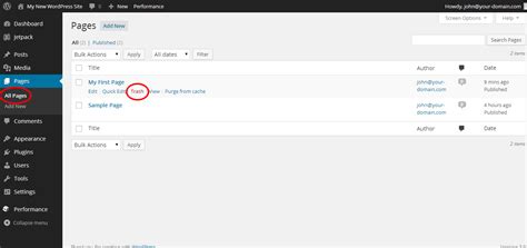 WordPress How to Delete a Page IPOWER