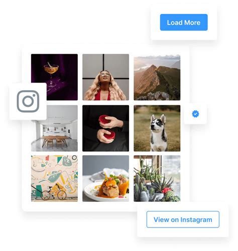 WordPress Instagram Widgets & 8 Instagram Hacks - ColibriWP Blog