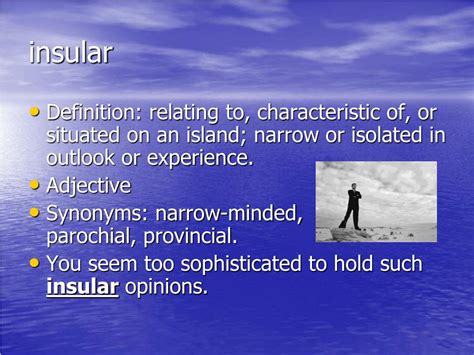 Words Insular and Isolated have similar meaning