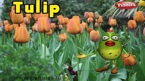 Words That Rhyme with Tulip - Tulip Rhymes - Rhyme Finder