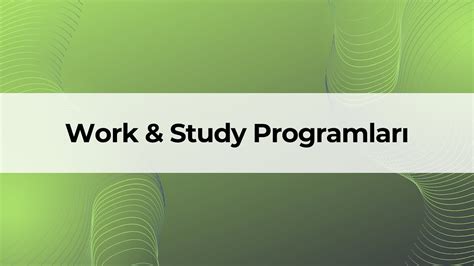 Work And Study Programları ITEBS.