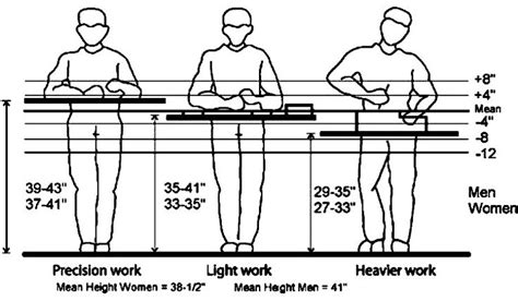 Workbench height. Finding the right work bench height is crucial for a variety of reasons. Not only does it directly impact the comfort and ergonomics of your workspace, but it also plays a significant role in injury prevention and overall productivity and efficiency. Ergonomics and Comfort. When it comes to work bench height, ergonomics and comfort go hand in hand. 