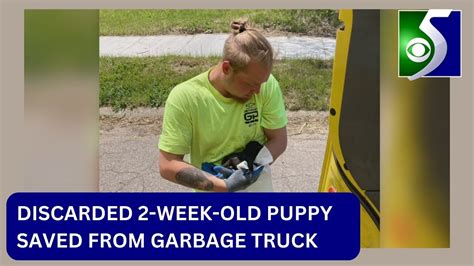 Worker rescues discarded 2-week-old puppy from garbage truck