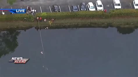 Workers unite to help rescue woman from retention pond in Davie