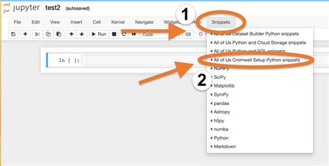 Workflows in the All of Us Researcher Workbench: Nextflow and Cromwell