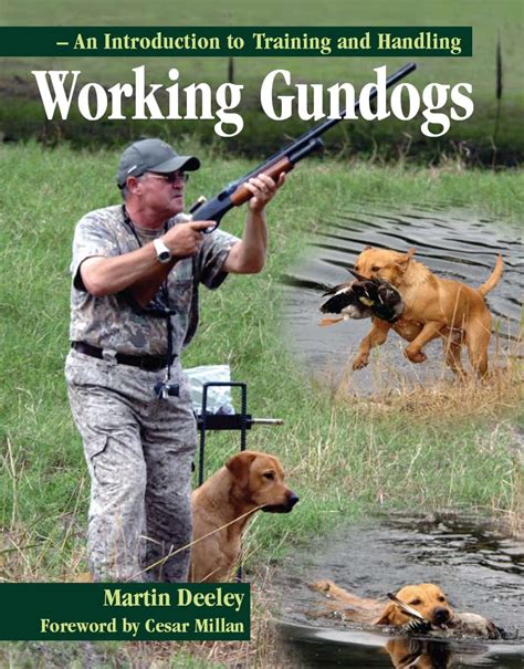 Working Gundogs An Introduction To Training And Handling