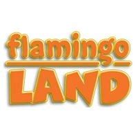 Working at Flamingo Technologies Glassdoor