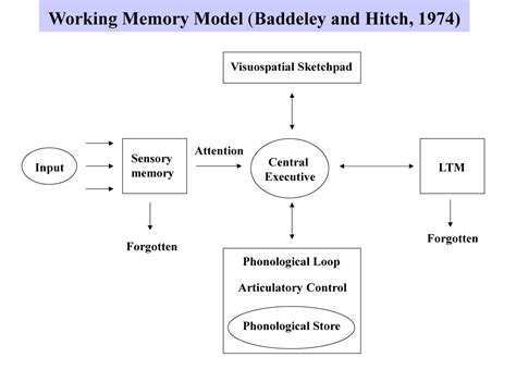 Working memory model central executive.  Indeed, Baddeley (1986) has conceptualized the central ...