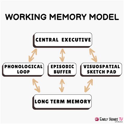 Working memory model strengths and weaknesses.  Criticism is apprechiated.  This document outl...