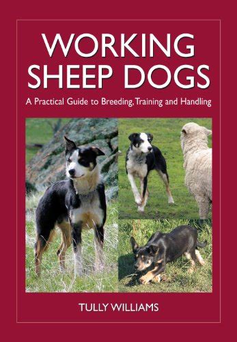 Working sheep dogs a practical guide to breeding training and handling landlinks press. - Festschrift für hans-jochem lüer zum 70. geburtstag.